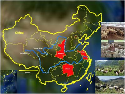 Prevalence and risk factors associated with gastrointestinal parasites in goats (Capra hircus) and sheep (Ovis aries) from three provinces of China